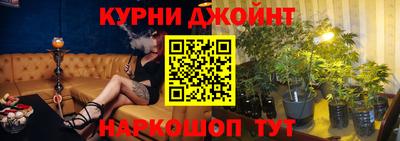 дмт Кингисепп