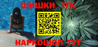 дмт Кингисепп
