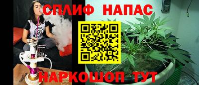 дмт Кингисепп