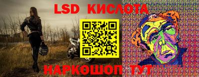 дмт Кингисепп