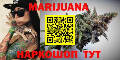 дмт Кингисепп