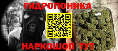 дмт Кингисепп