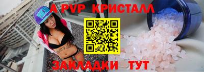 дмт Кингисепп