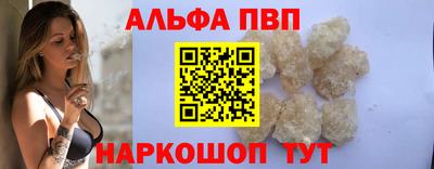 дмт Кингисепп
