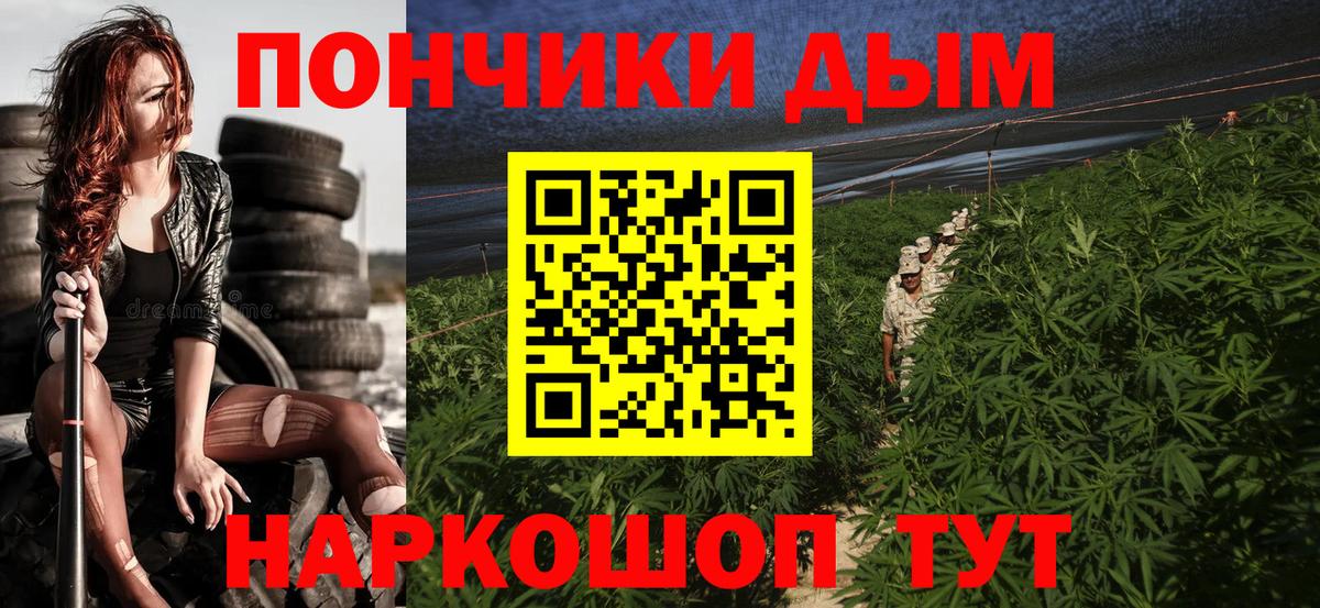 Шишки марихуана план  Канабис Bruce Banner  Учалы  Бошки марихуана сатива  Каннабис семена 